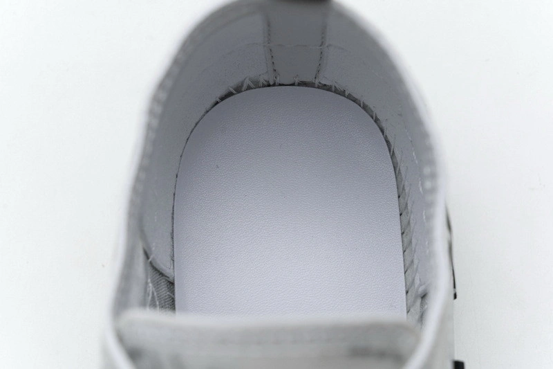 Dior B23 Oblique  Low Sneaker