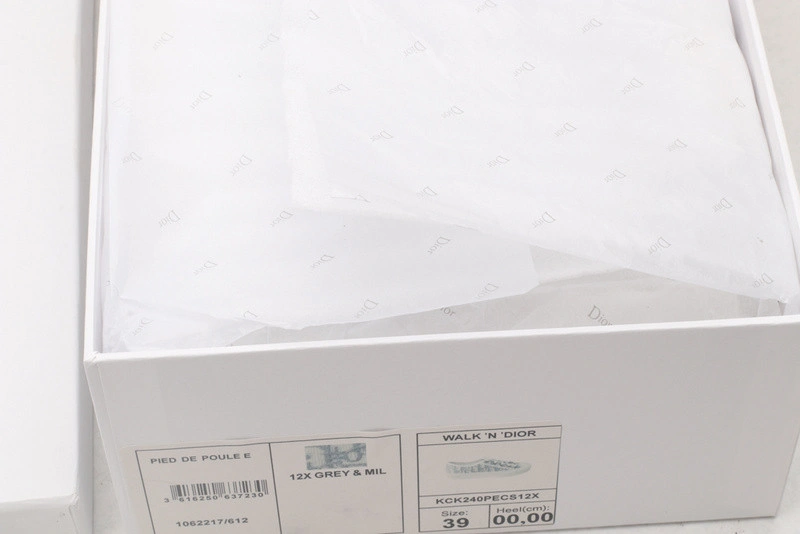 Dior B23 Oblique  Low Sneaker
