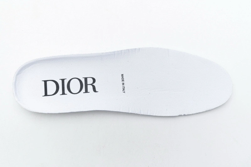 Dior B23 Oblique HIGH Top Sneaker