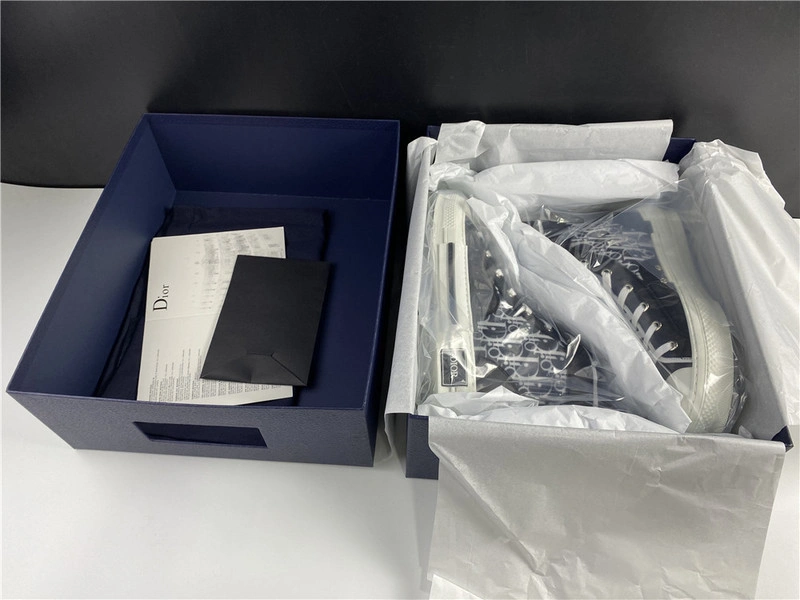 Dior B23 Oblique HIGH Top Sneaker