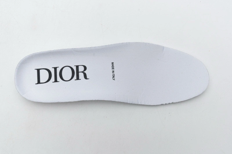Dior B23 Oblique HIGH Top Sneaker