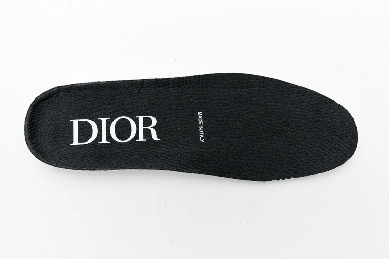 Dior B23 Oblique HIGH Top Sneaker