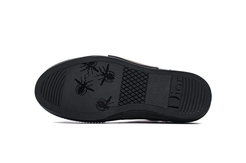 Dior B23 Oblique Low Top Sneaker T00853H063