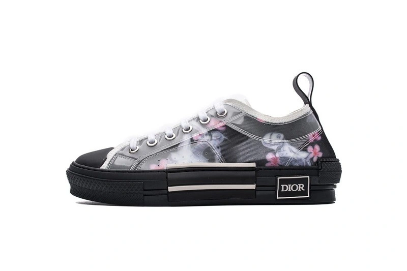 Dior B23 Oblique Low Top Sneaker T00853H063