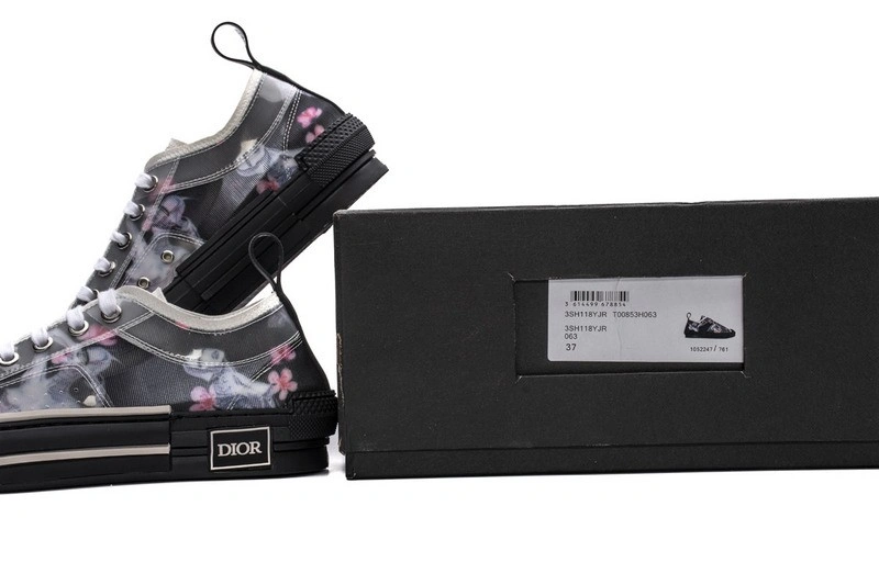 Dior B23 Oblique Low Top Sneaker T00853H063