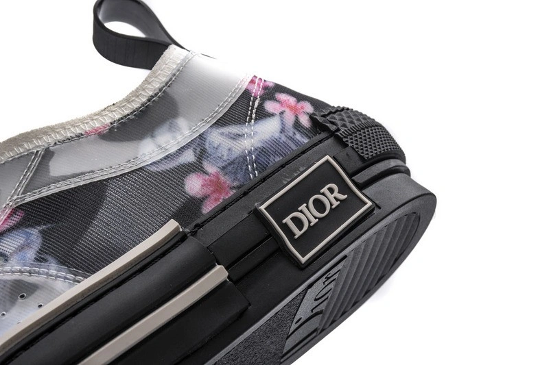Dior B23 Oblique Low Top Sneaker T00853H063