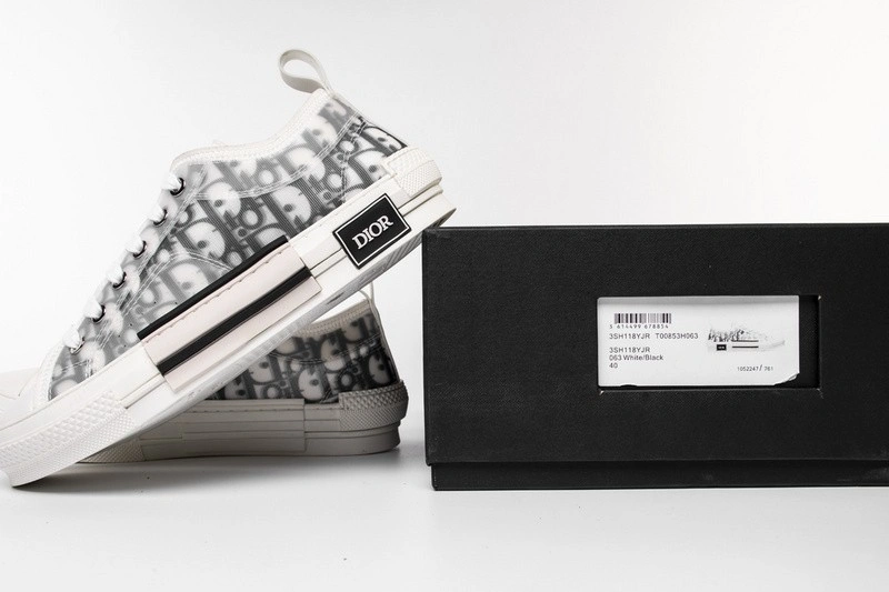 Dior B23 Oblique Low Top Sneaker T00853H063