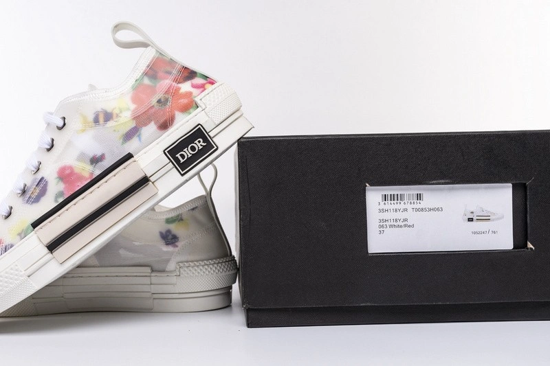 Dior B23 Oblique low Top Sneaker T00853H063