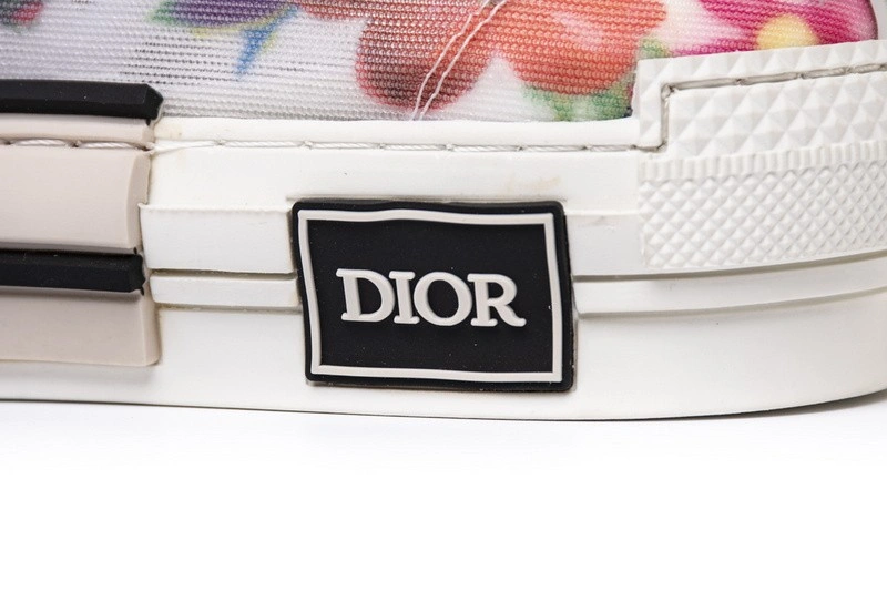Dior B23 Oblique low Top Sneaker T00853H063