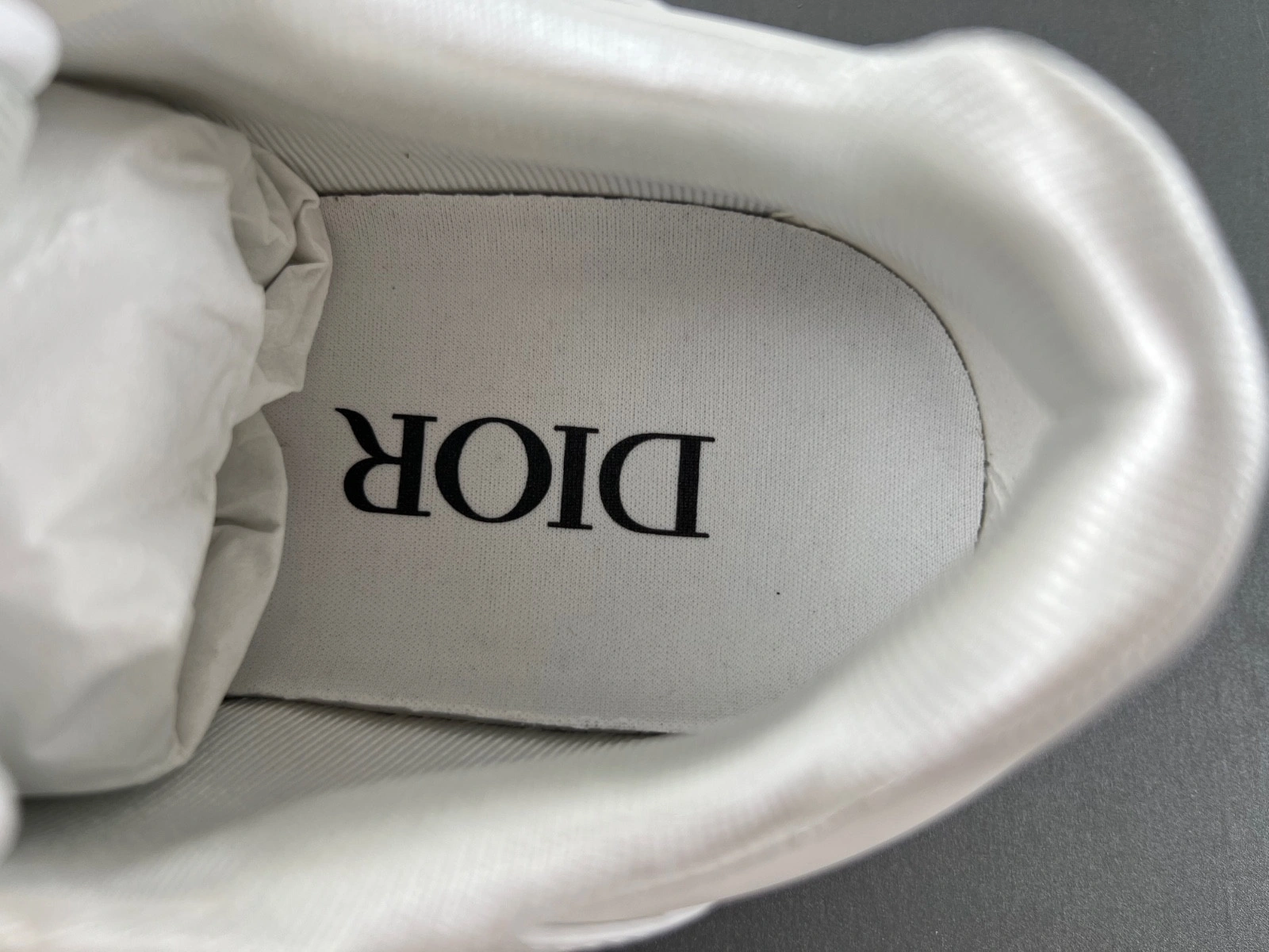 Dior B27 SNEAKER
