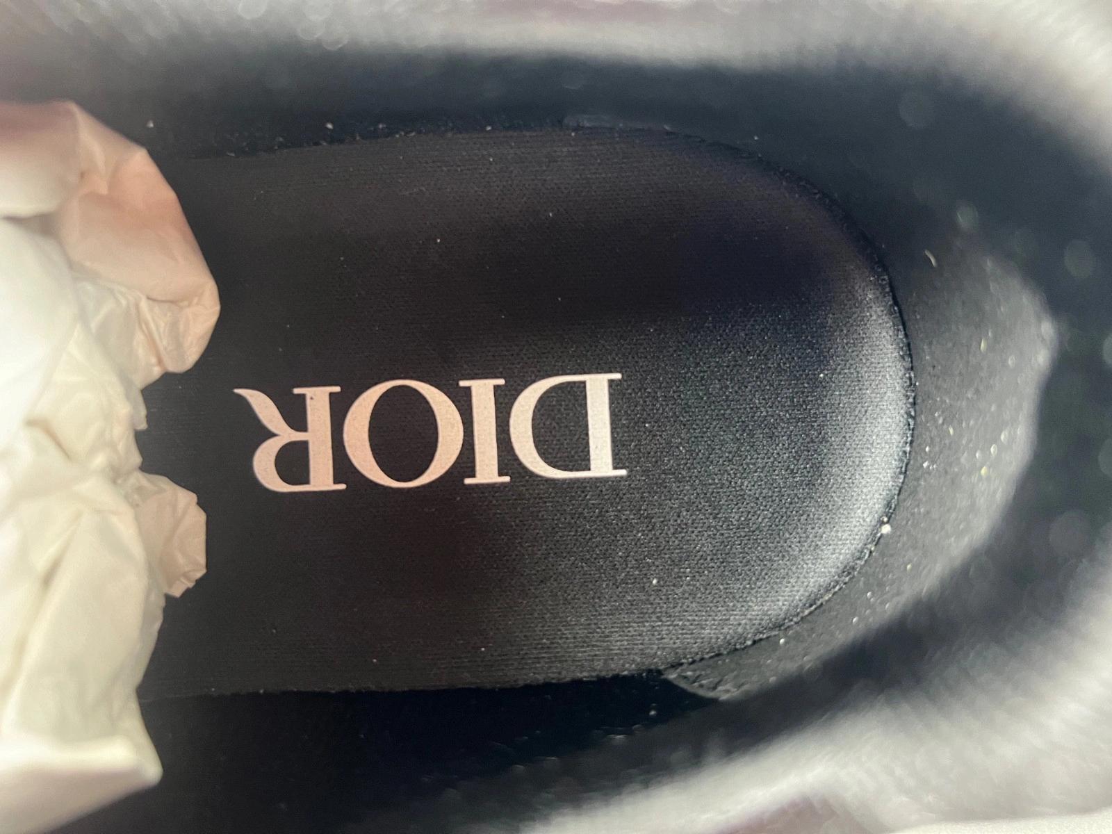 Dior B27 SNEAKER