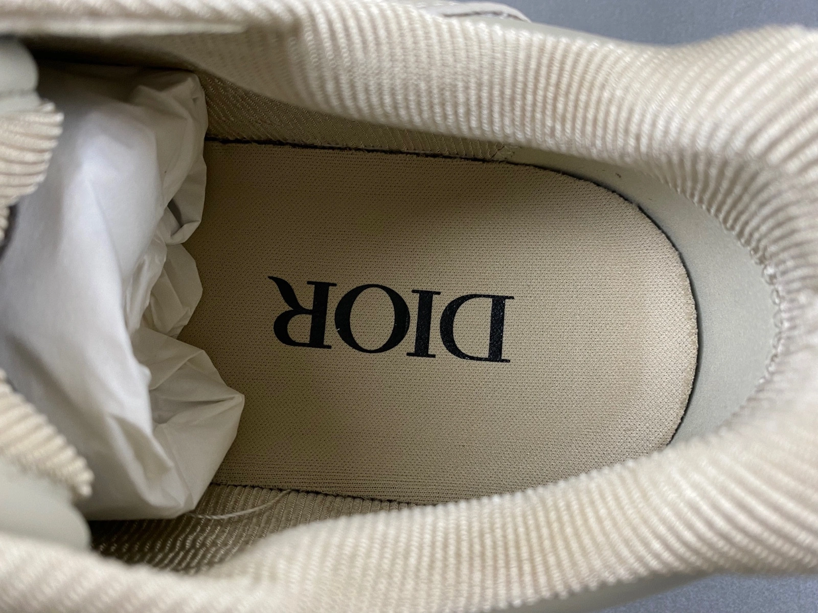 Dior B27 SNEAKER