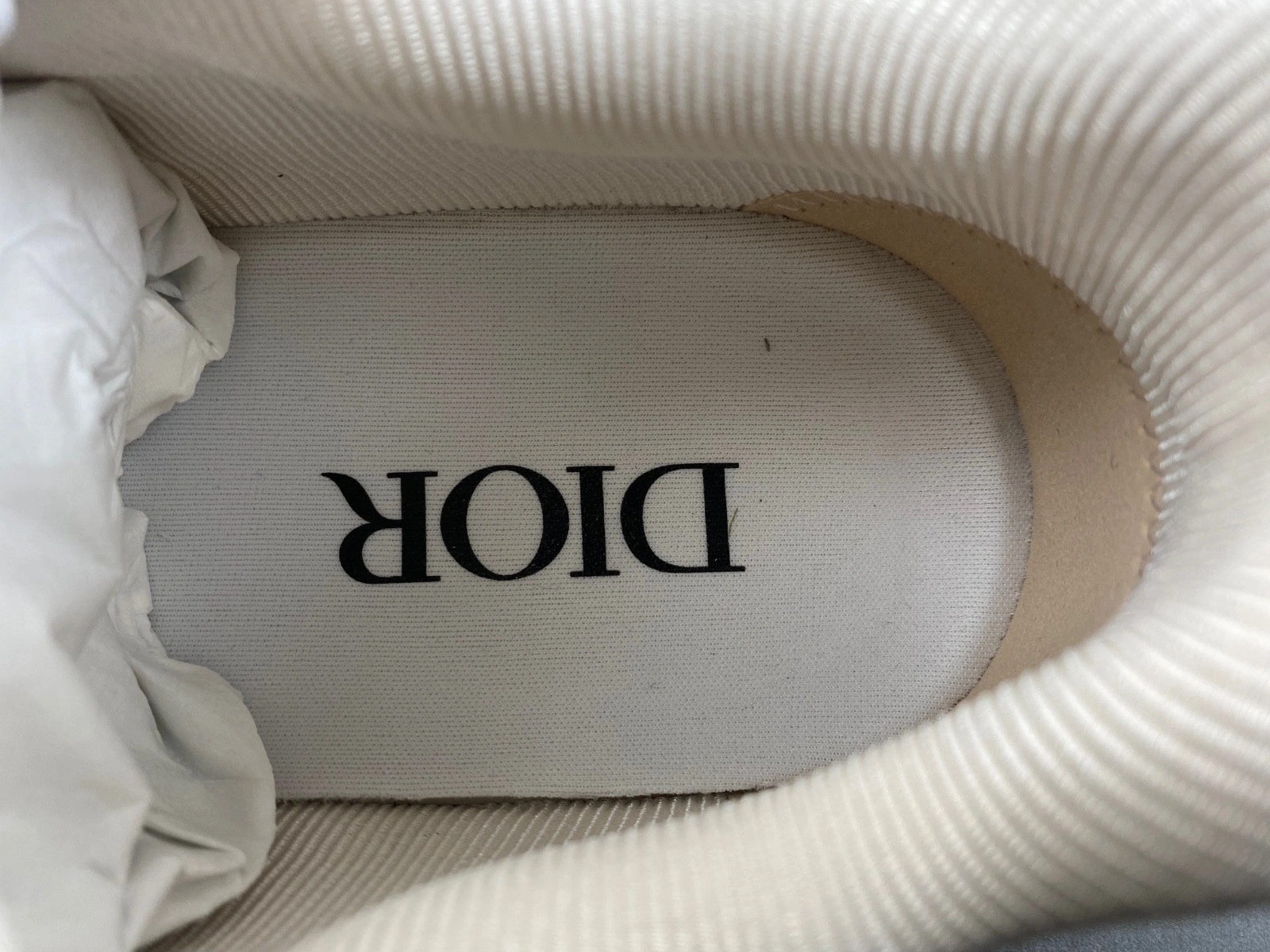 Dior B27 SNEAKER