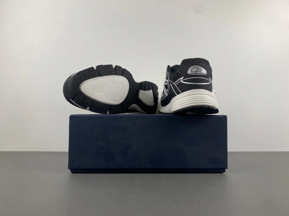 Dior B30 SNEAKER