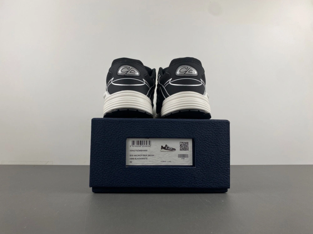 Dior B30 SNEAKER