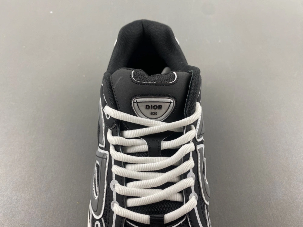 Dior B30 SNEAKER