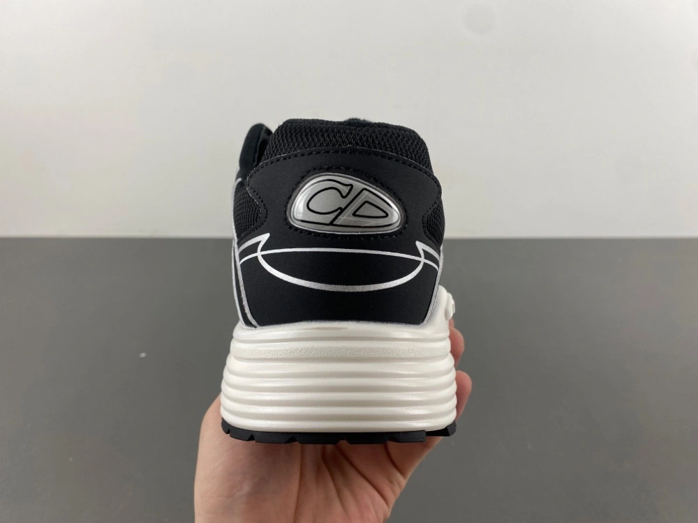 Dior B30 SNEAKER