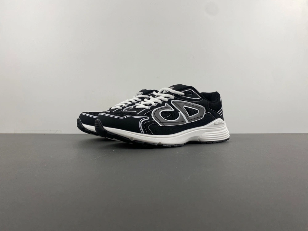Dior B30 SNEAKER