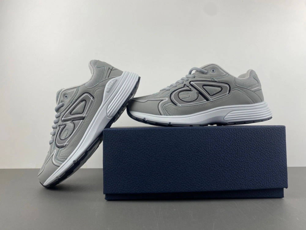 Dior B30 SNEAKER