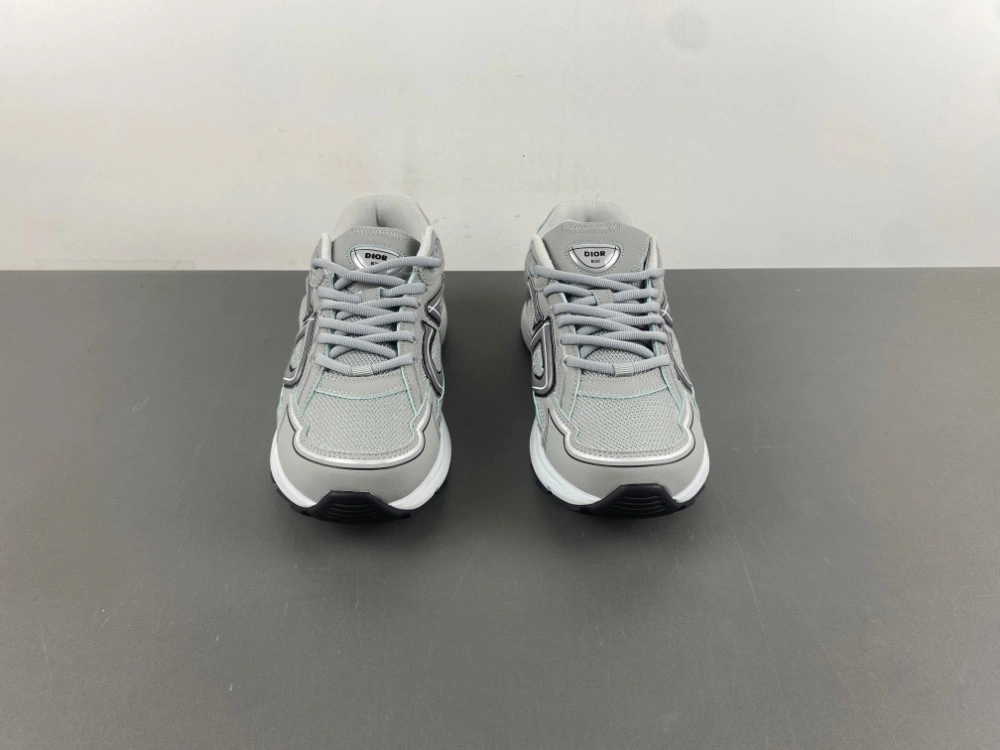 Dior B30 SNEAKER