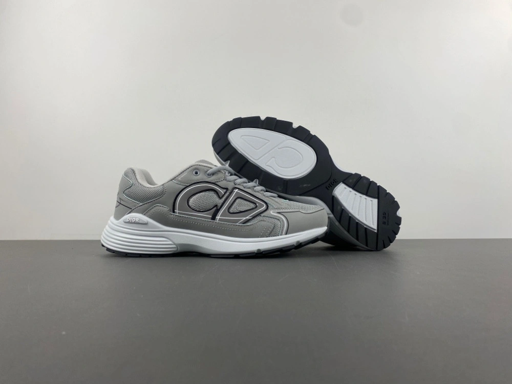 Dior B30 SNEAKER