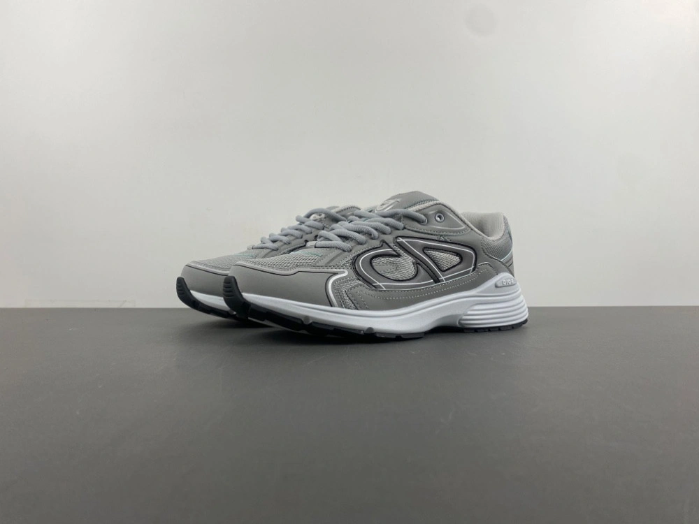 Dior B30 SNEAKER