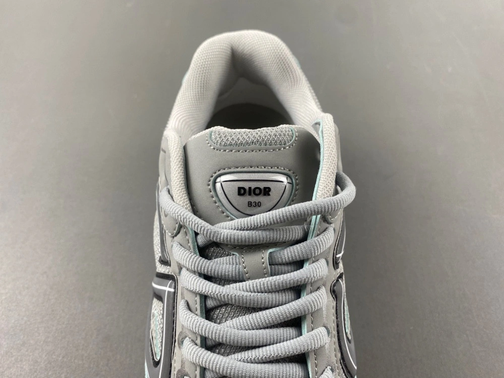 Dior B30 SNEAKER