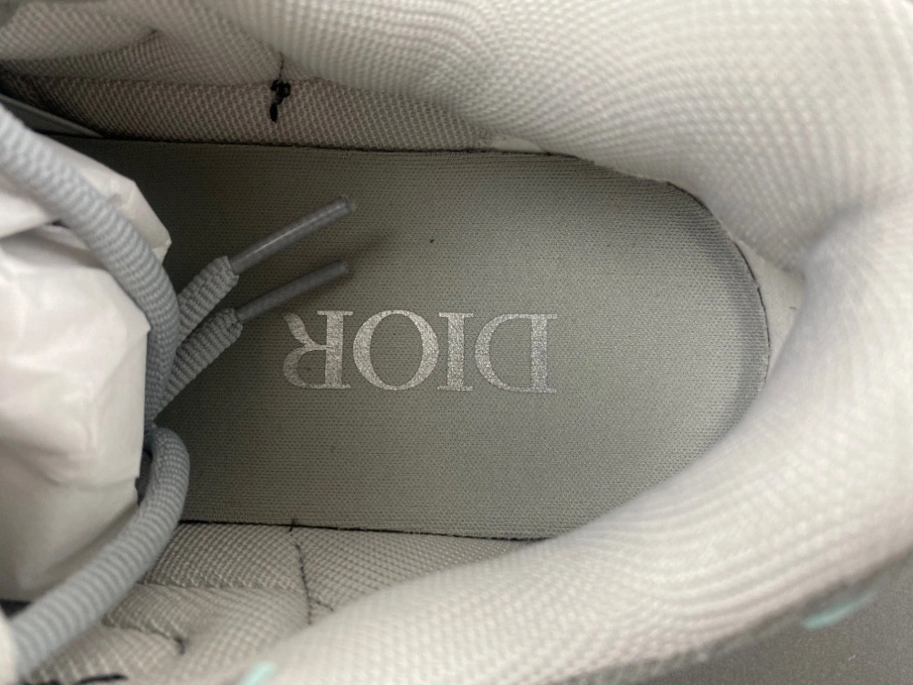 Dior B30 SNEAKER