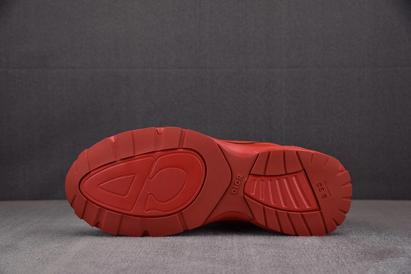 Dior B30 SNEAKER
