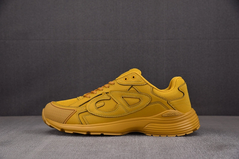 Dior B30 SNEAKER