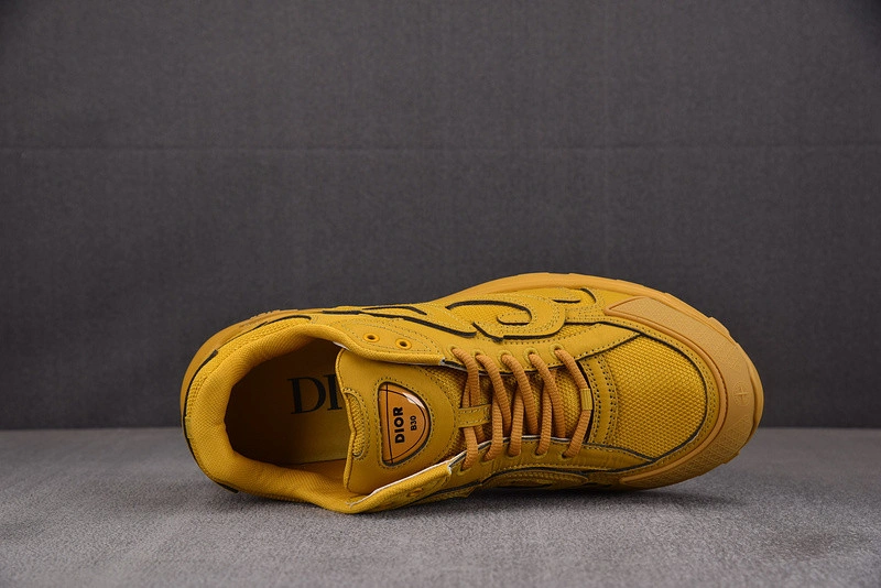 Dior B30 SNEAKER