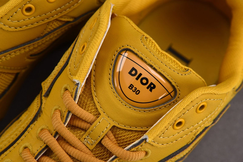 Dior B30 SNEAKER