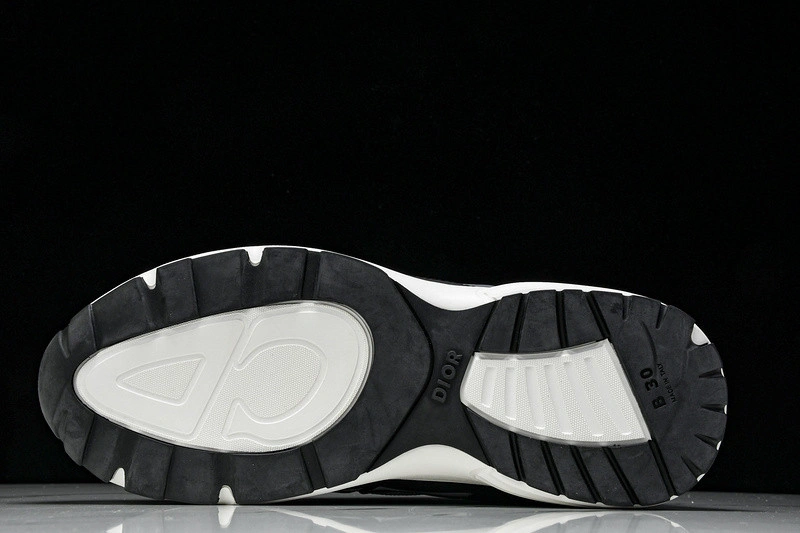 Dior B30 SNEAKER