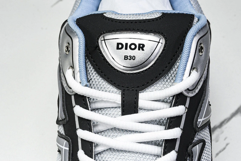 Dior B30 SNEAKER