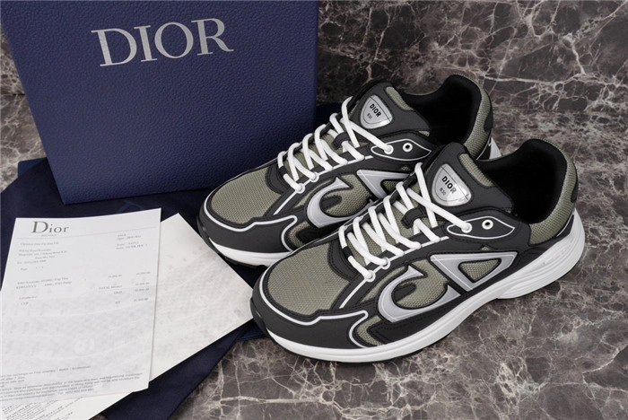 Dior B30 SNEAKER
