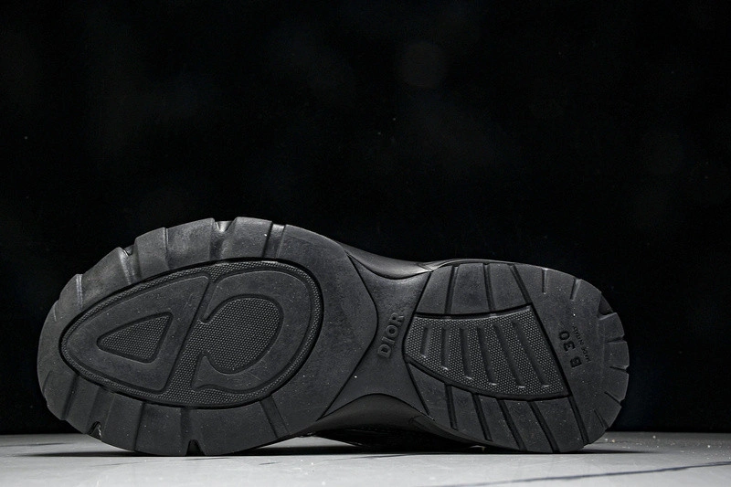 Dior B30 SNEAKER