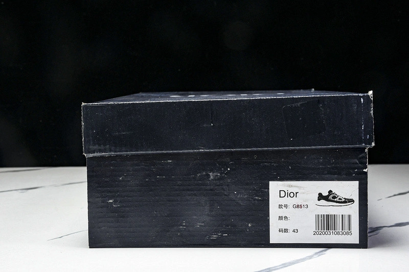 Dior B30 SNEAKER
