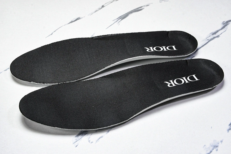 Dior B30 SNEAKER