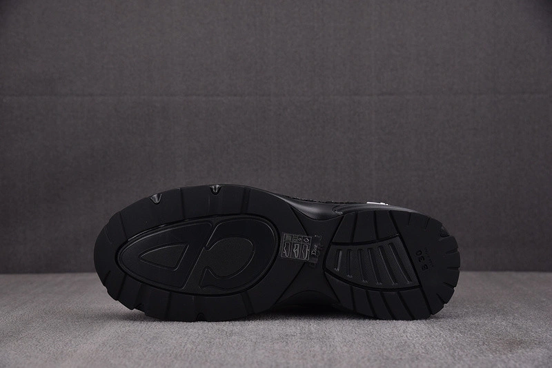 Dior B30 SNEAKER