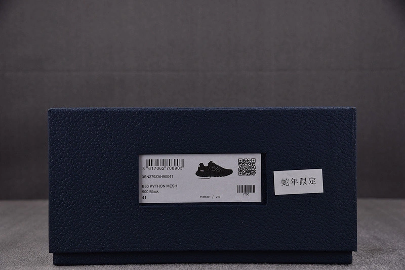 Dior B30 SNEAKER