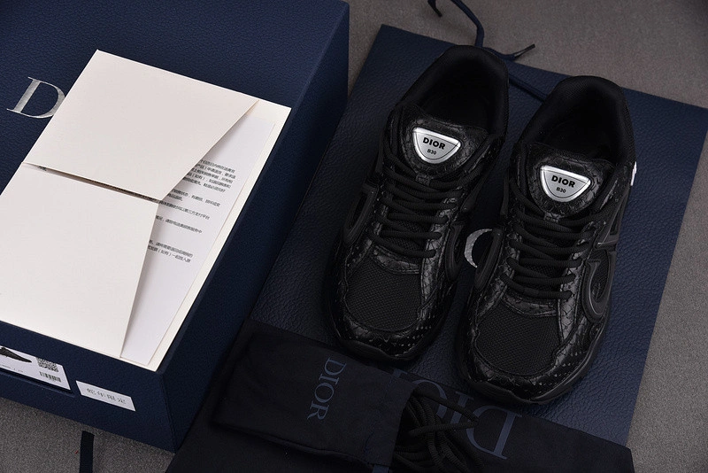 Dior B30 SNEAKER