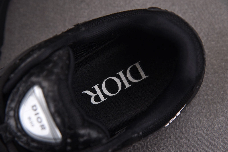 Dior B30 SNEAKER