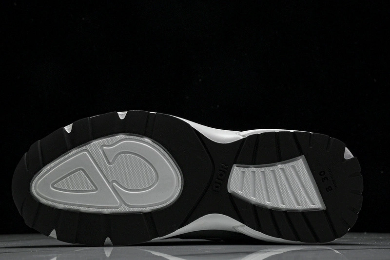Dior B30 SNEAKER