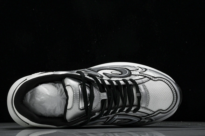 Dior B30 SNEAKER