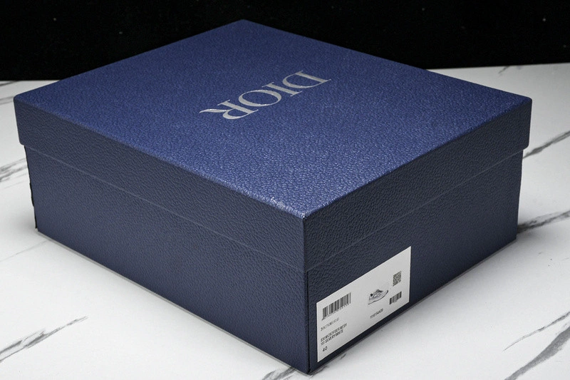 Dior B30 SNEAKER