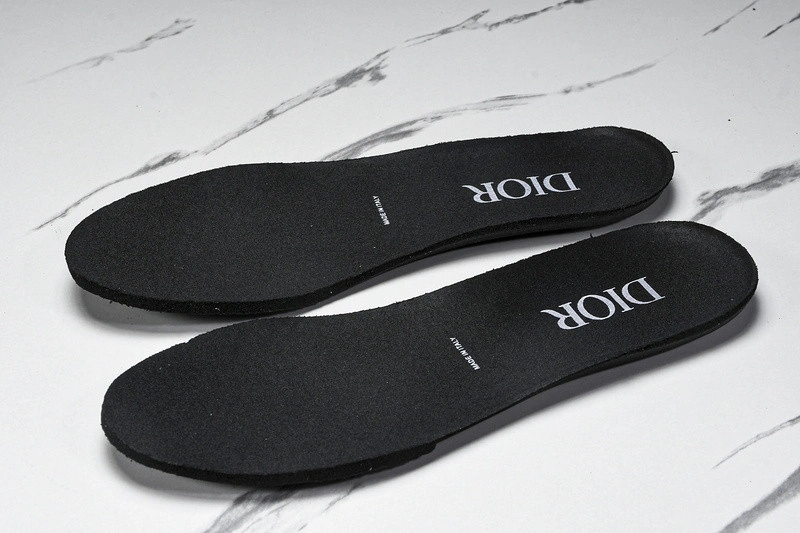 Dior B30 SNEAKER