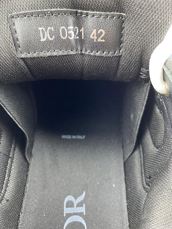 Dior B30 SNEAKER