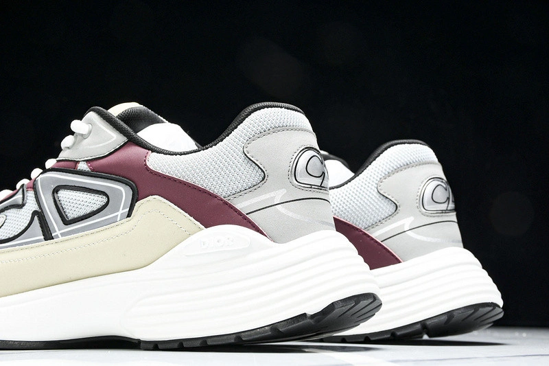 Dior B30 SNEAKER