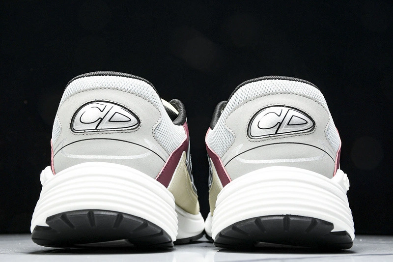 Dior B30 SNEAKER