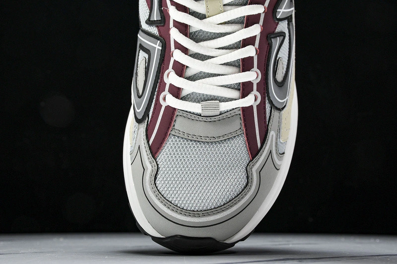 Dior B30 SNEAKER